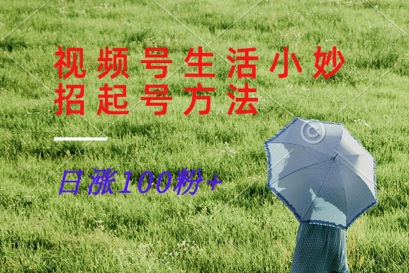 视频号生活小妙招分享赛道， 起号涨粉新方法，日涨100粉-金易项目网