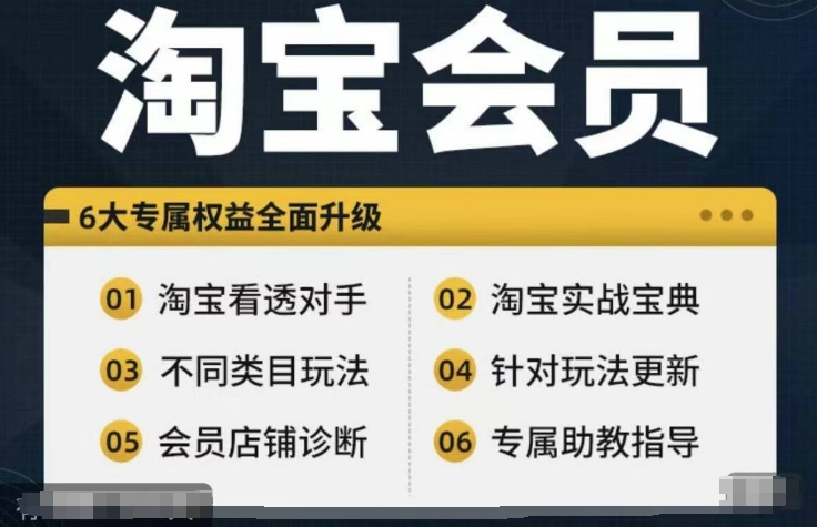 淘宝会员【淘宝所有课程，全面分析对手】，初级到高手全系实战宝典-金易项目网