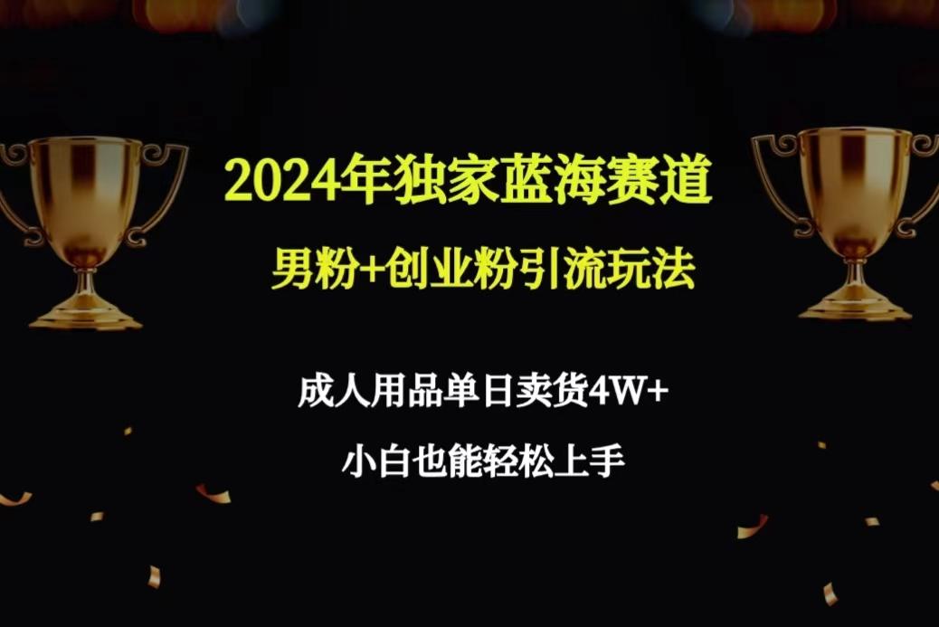 2024年独家蓝海赛道男粉+创业粉引流玩法，成人用品单日卖货4W+保姆教程-金易项目网