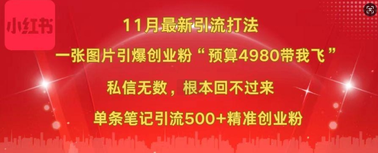 小红书11月最新图片打粉，一张图片引爆创业粉，“预算4980带我飞”，单条引流500+精准创业粉-金易项目网