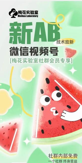 梅花实验室2024年AB技术视频号AB合成破解版-金易项目网