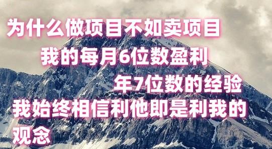 做项目不如卖项目，每月6位数盈利，年7位数经验-金易项目网