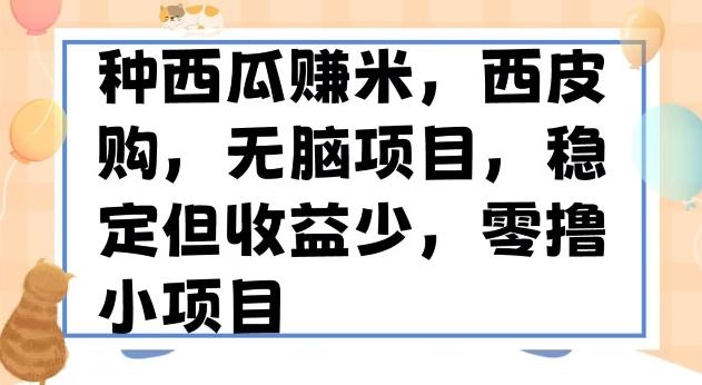 种西瓜赚米，西皮购稳定长久零撸小项目-金易项目网