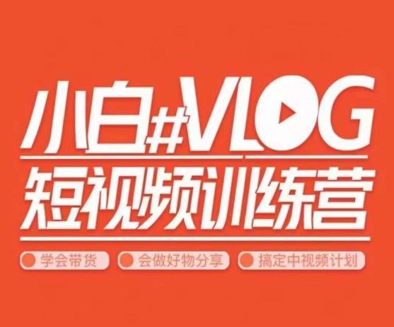 小呆说视–小白VLOG短视频训练营，学会带货、好物、直播、中视频-金易项目网