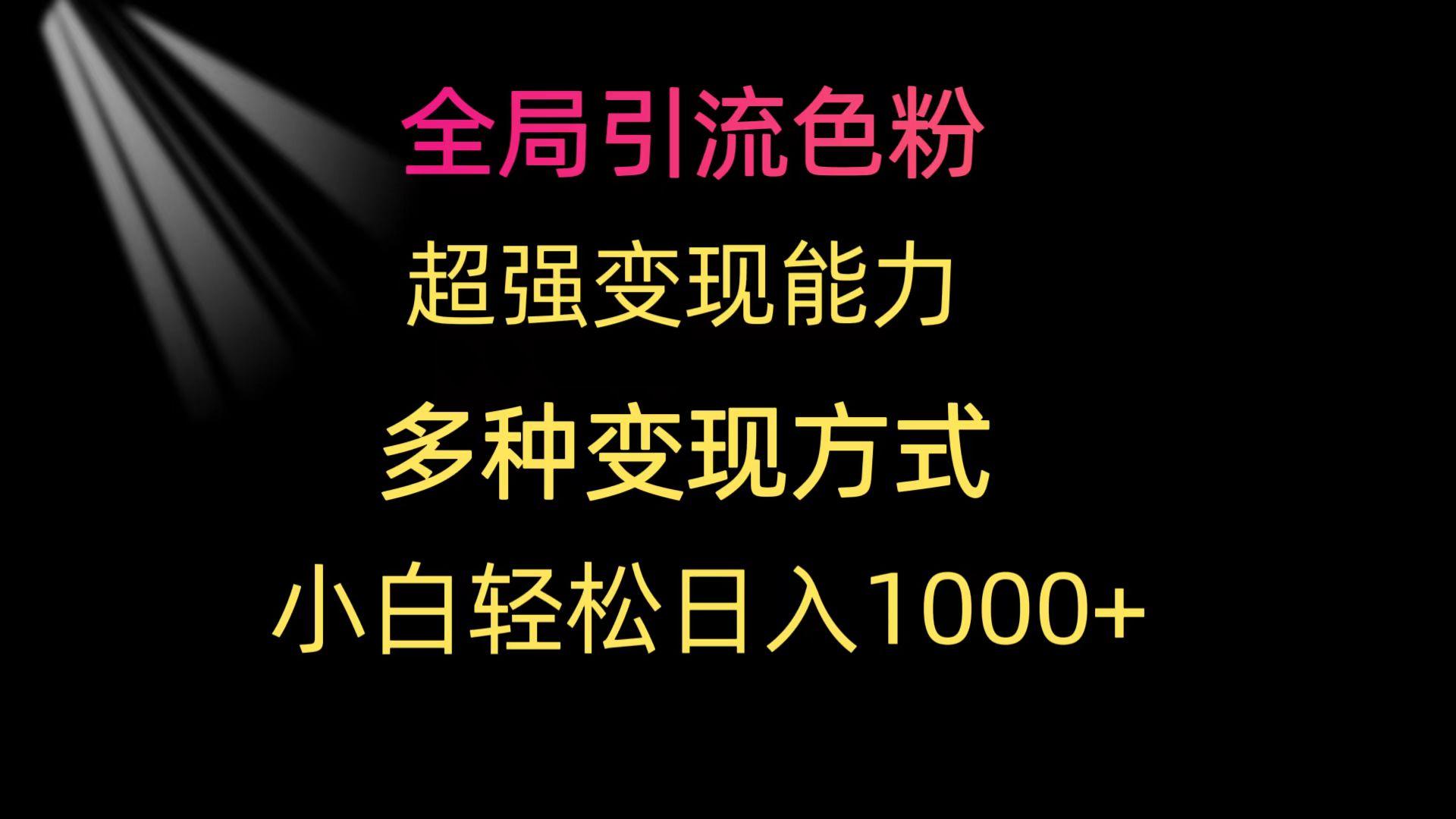 (9680期)全局引流色粉 超强变现能力 多种变现方式 小白轻松日入1000+-金易项目网