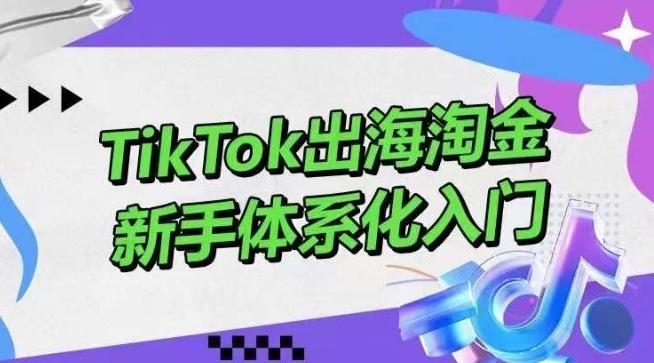 TikTok出海淘金，新手体系化入门，零基础快速入门，掌握短视频、直播带货等引流到变现的知识-金易项目网