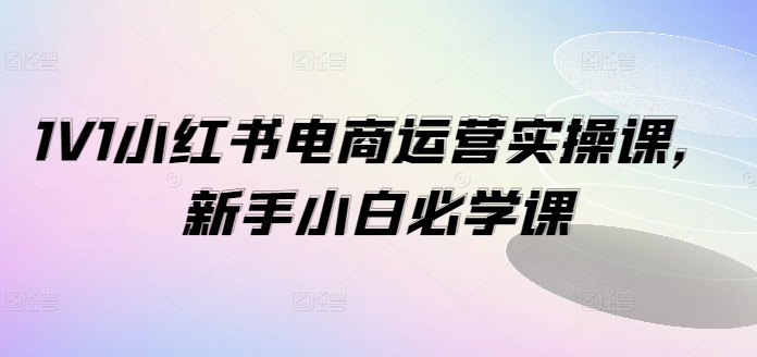 1V1小红书电商运营实操课，新手小白必学课-金易项目网