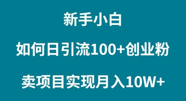 (9556期)新手小白如何通过卖项目实现月入10W+-金易项目网
