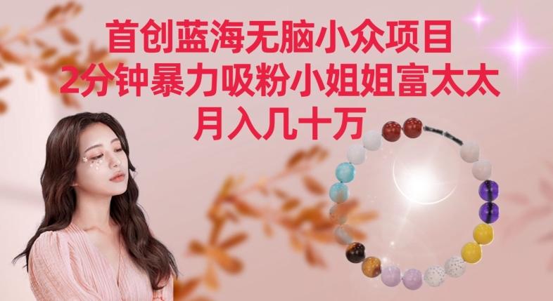 首创蓝海无脑小众项目，2分钟暴力吸粉小姐姐富太太，月入几十万【揭秘】-金易项目网