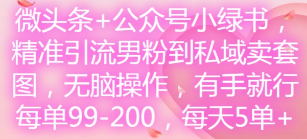 微头条+公众号小绿书，精准引流男粉到私域卖套图，无脑操作，有手就行，每单99-200，每天5单-金易项目网