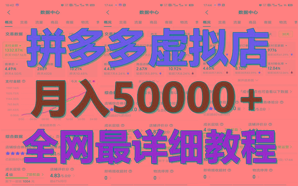 拼多多虚拟电商训练营月入50000+你也行，暴利稳定长久，副业首选-金易项目网