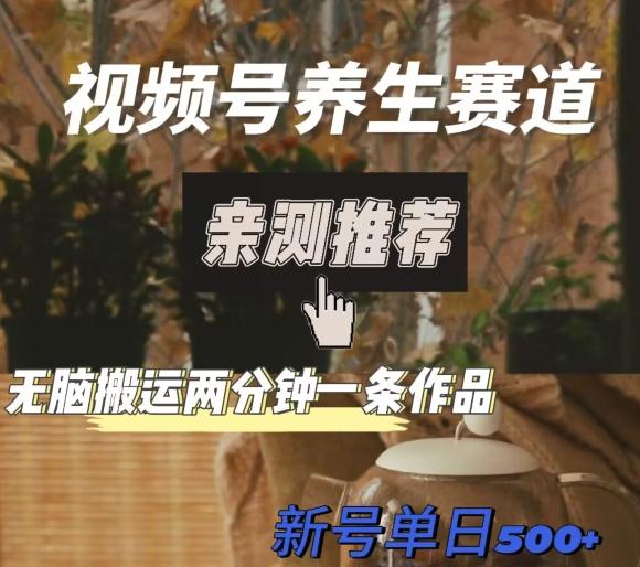 视频号养生赛道暴力掘金，无脑搬运，两分钟一条作品-新日单入500+-金易项目网