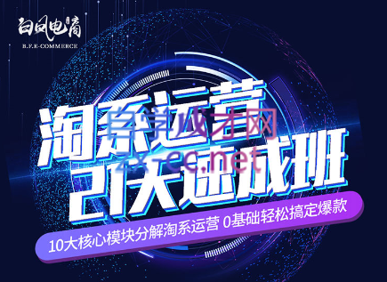 淘系运营21天速成班(更新24年6月)-金易项目网