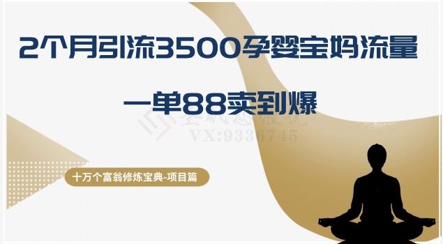 十万个富翁修炼宝典之13.2个月引流3500孕婴宝妈流量，一单88卖到爆-金易项目网