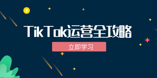 TikTok实战运营全攻略：从下载软件到变现，抖音海外版实操教程-金易项目网
