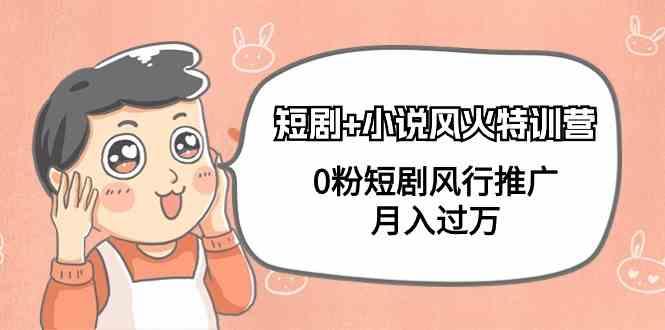 小说+短剧风火特训营，0粉短剧小说风行推广，实现月入过万-金易项目网