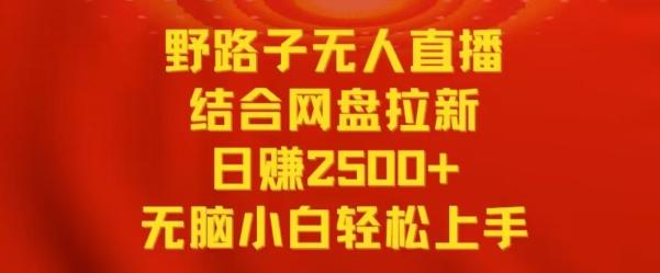 野路子无人直播结合网盘拉新，日赚2500+，小白无脑轻松上手【揭秘】-金易项目网